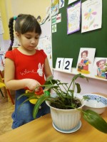 Растение в детском саду