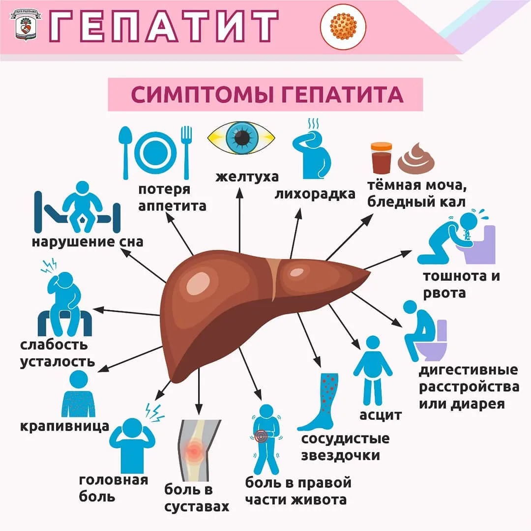 Неделя профилактики заболеваний печени