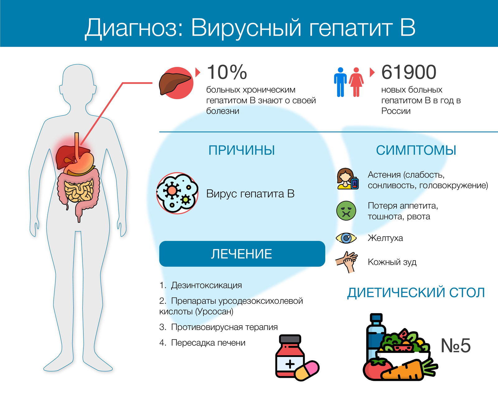 Неделя профилактики заболеваний печени