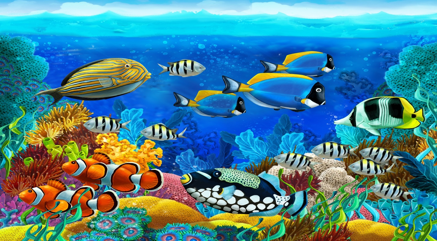 Животный мир морей и океанов